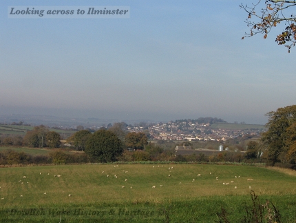 Looking across Moolham towards Ilminster