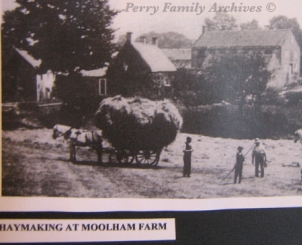 Moolham Farm