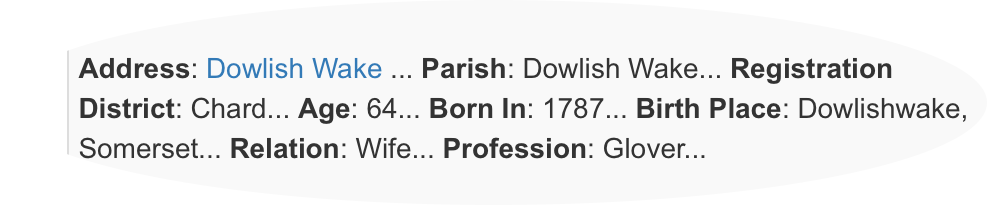 Gloving in Dowlish Wake - Census Return 1851