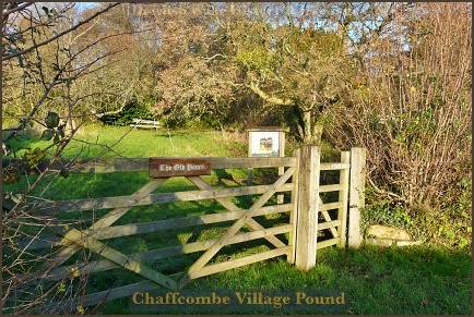 Village Pound at Chaffcombe
