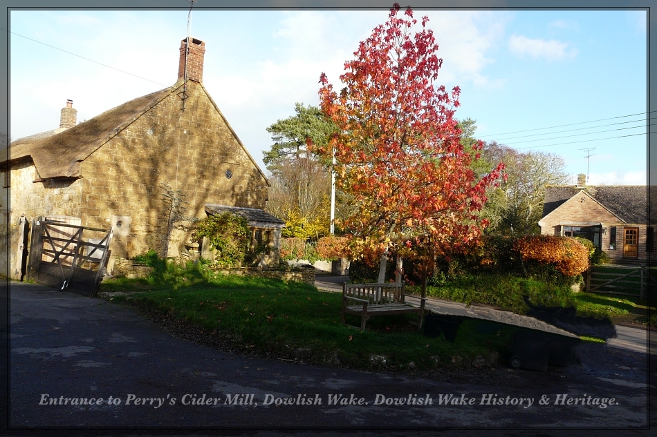 Corner by Perry&#39;s Cider Mill, Dowlish wake