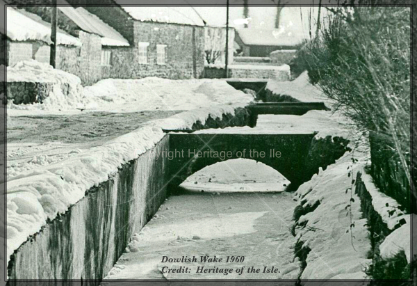 Snowy Scene in Dowlish Wake-Heritage of the Isle