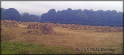 End of the day-Stooks in Chard Lane, Dowlish Wake