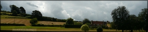 Fields at Cross, Ilminster with farmhouse on the right.2021