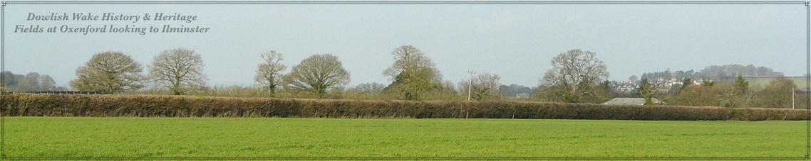 Fields in Oxenford with Ilminster in the distance