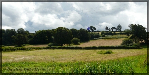 Shudrick Valley adjacent to Cross, Ilminster