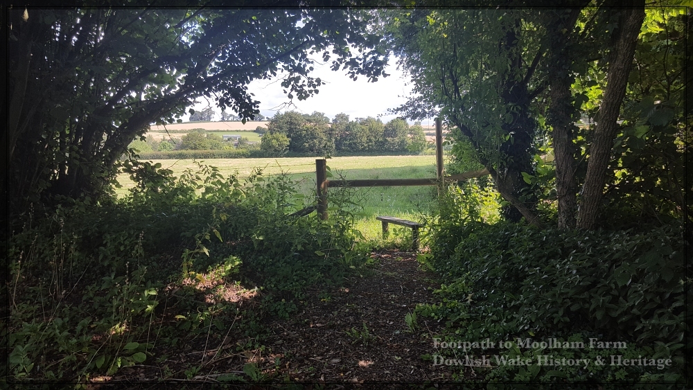 Footpath to Moolham Farm