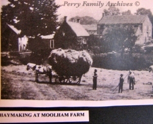 Haymaking at Moolham Farm