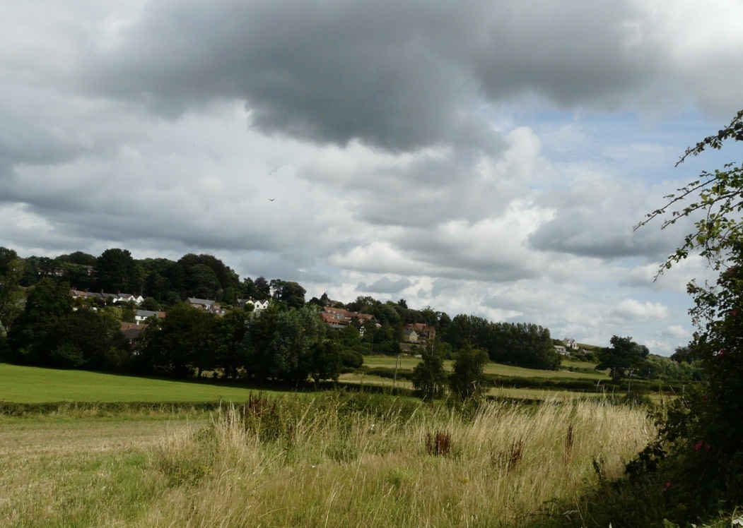 Looking across fields to Bay Hill from Cross, Ilminster
