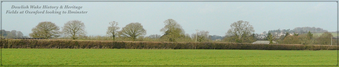 Oxenford fields with Ilminster in the distance