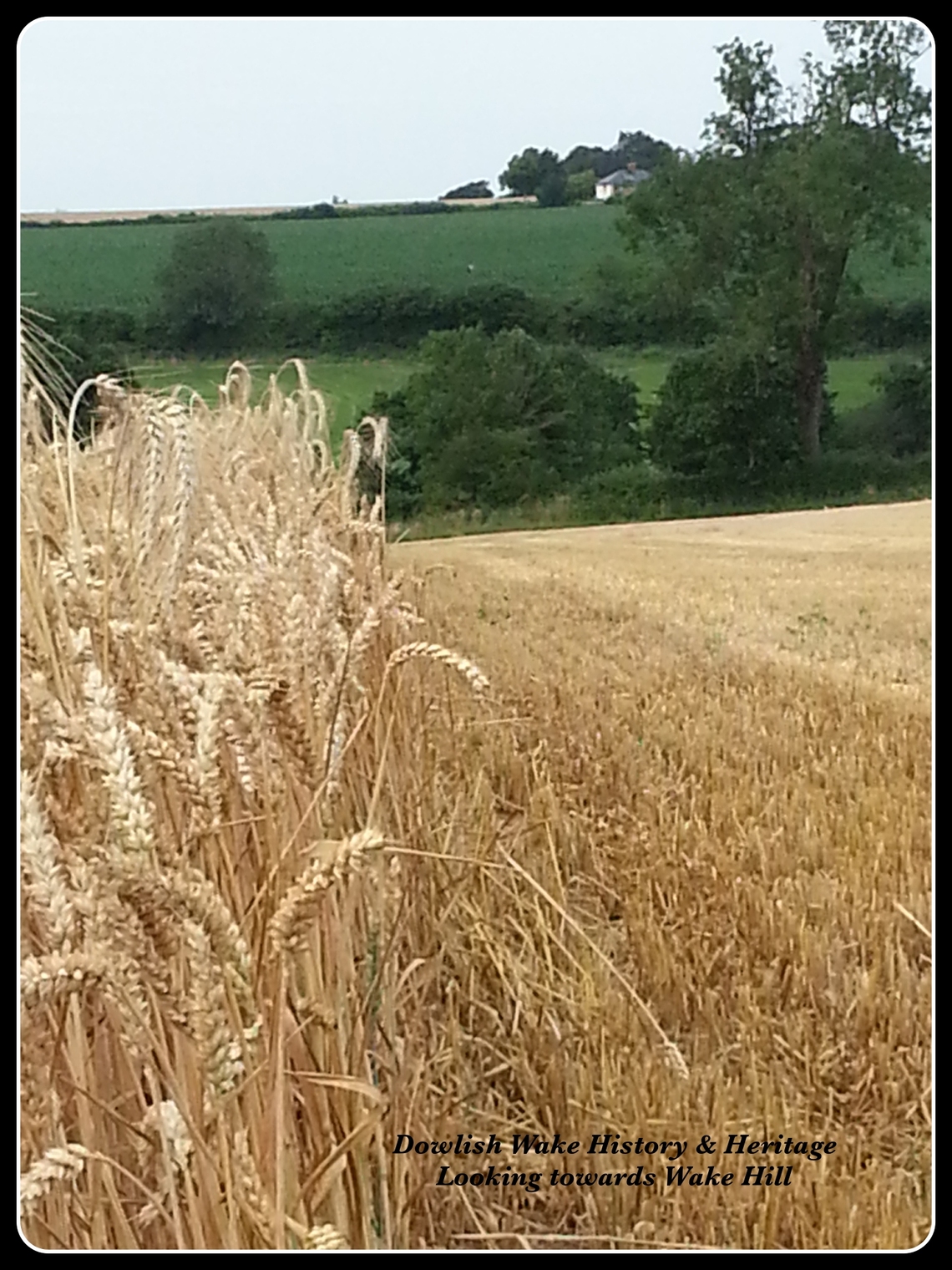 Looking towards Wake Hill