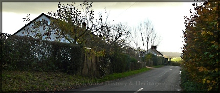 Mill Lane looking towards Dowlish Wake