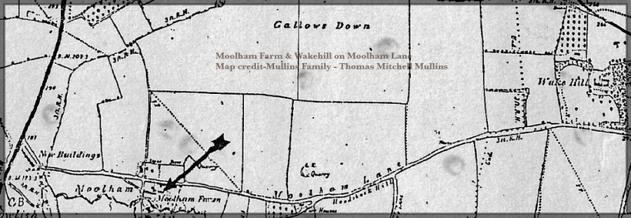 Moolham Lane showing Moolham Farm &amp; Wakehill House