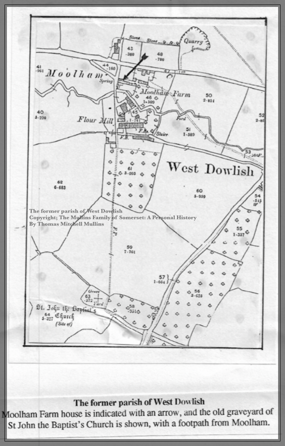 Mullins Archived Map of West Dowlish