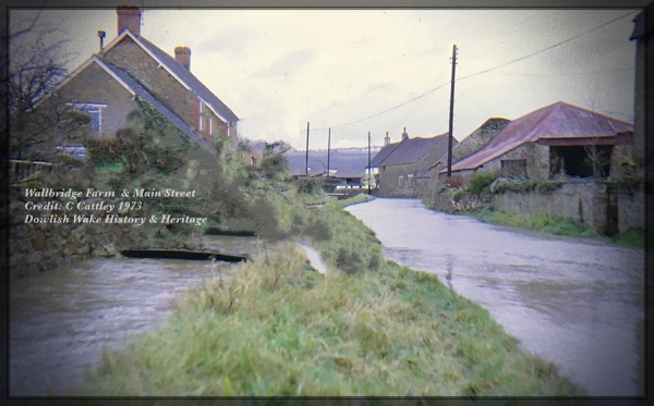 Main Street Roadside Stream, Ford and Wallbridge Farm 1973
