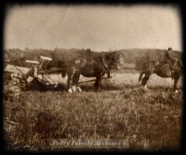 Perry Family Archives - Boy on Horseback - Unknown Date.