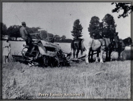 Perrys Archive harvesting