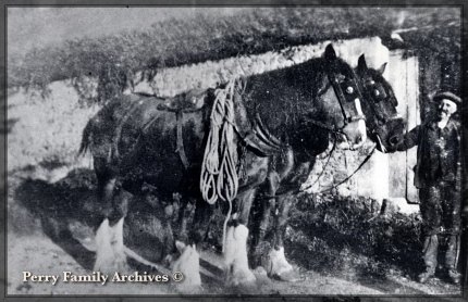 Perrys Archive Pre war farm scene