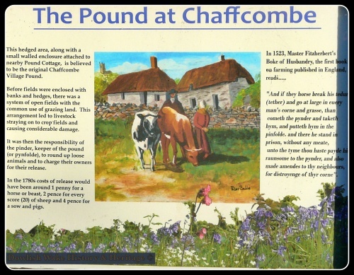 Notice Board at Chaffcombe Village Pound.
