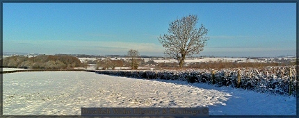 Looking towards Dowlish Wake & Kingstone from Chard Lane.