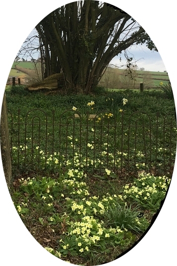 Lovely in any Season - Moolham Churchyard