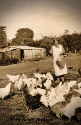 Dowlish Wake villager feeding poultry