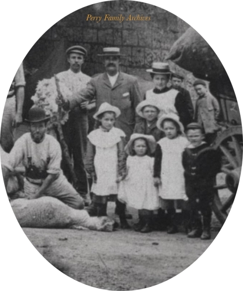 Family Sheep Shearing - Dowlish Wake