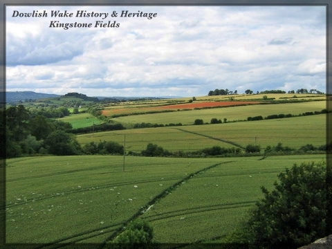 View over Kingstone Fields